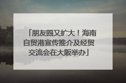 朋友圈又扩大！海南自贸港宣传推介及经贸交流会在大阪举办