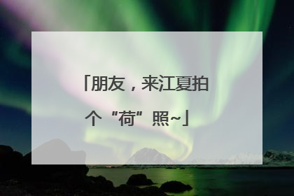 朋友，来江夏拍个“荷”照~