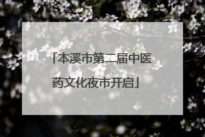 本溪市第二届中医药文化夜市开启