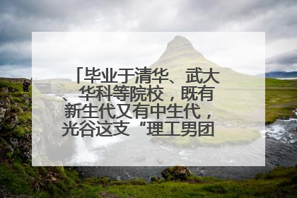 毕业于清华、武大、华科等院校，既有新生代又有中生代，光谷这支“理工男团”为何“出道”？