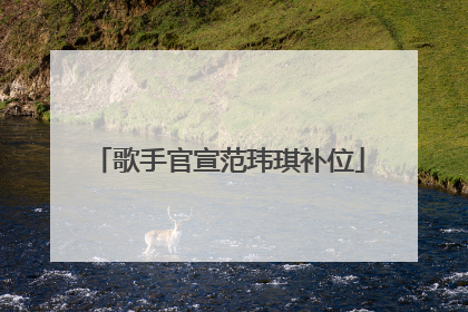 歌手官宣范玮琪补位