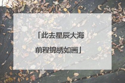 此去星辰大海 前程锦绣如画