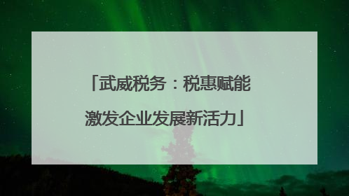 武威税务：税惠赋能 激发企业发展新活力
