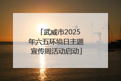 武威市2025年六五环境日主题宣传周活动启动