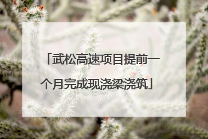 武松高速项目提前一个月完成现浇梁浇筑
