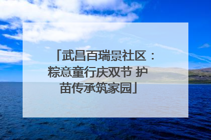 武昌百瑞景社区：粽意童行庆双节 护苗传承筑家园
