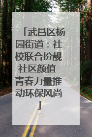 武昌区杨园街道：社校联合扮靓社区颜值 青春力量推动环保风尚