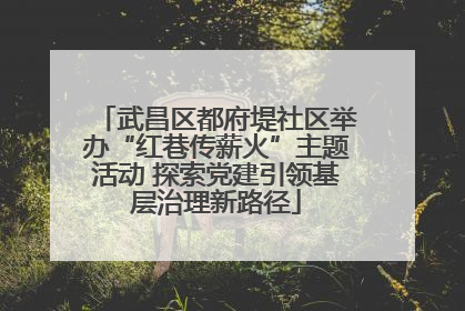 武昌区都府堤社区举办“红巷传薪火”主题活动 探索党建引领基层治理新路径