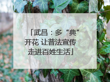 武昌：多“典”开花 让普法宣传走进百姓生活