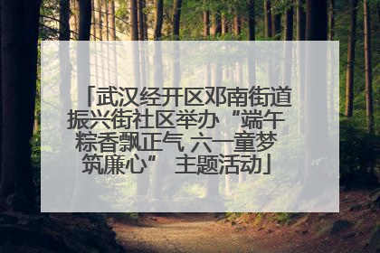 武汉经开区邓南街道振兴街社区举办“端午粽香飘正气 六一童梦筑廉心” 主题活动