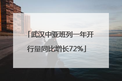 武汉中亚班列一年开行量同比增长72%
