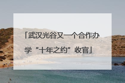 武汉光谷又一个合作办学“十年之约”收官