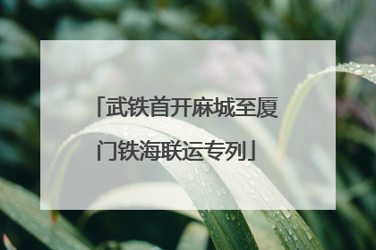 武铁首开麻城至厦门铁海联运专列