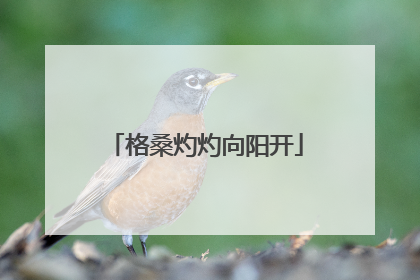 格桑灼灼向阳开