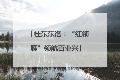 桂东东洛：“红领雁”领航百业兴