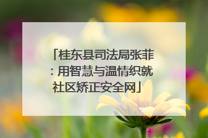 桂东县司法局张菲：用智慧与温情织就社区矫正安全网