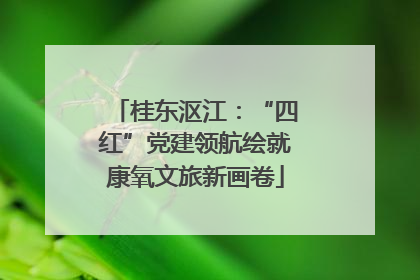 桂东沤江：“四红”党建领航绘就康氧文旅新画卷