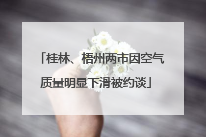 桂林、梧州两市因空气质量明显下滑被约谈