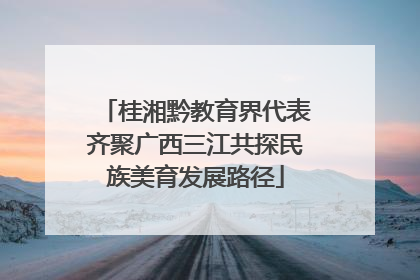 桂湘黔教育界代表齐聚广西三江共探民族美育发展路径