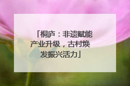 桐庐：非遗赋能产业升级，古村焕发振兴活力