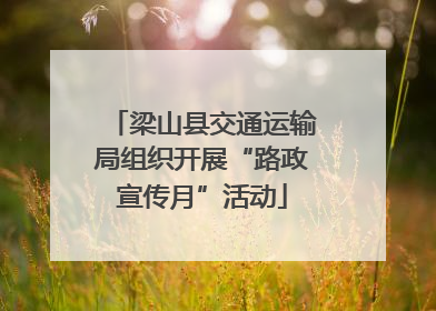 梁山县交通运输局组织开展“路政宣传月”活动