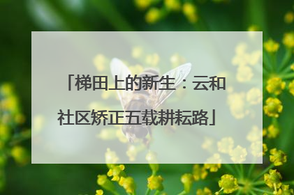 梯田上的新生：云和社区矫正五载耕耘路