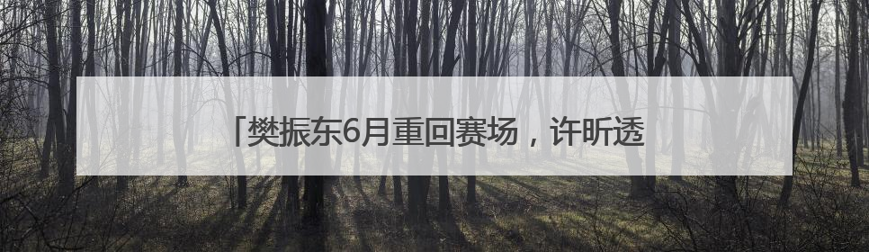 樊振东6月重回赛场，许昕透露其正在训练：将参加乒超