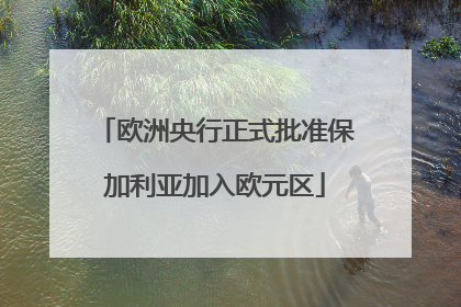 欧洲央行正式批准保加利亚加入欧元区