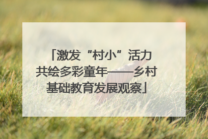 激发“村小”活力 共绘多彩童年——乡村基础教育发展观察