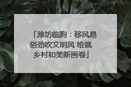 潍坊临朐：移风易俗劲吹文明风 绘就乡村和美新画卷
