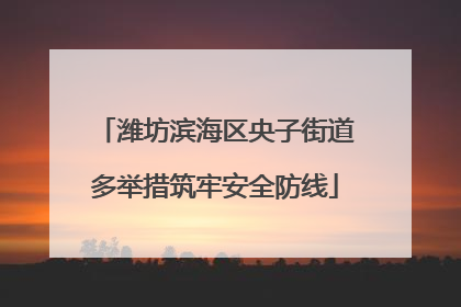 潍坊滨海区央子街道多举措筑牢安全防线