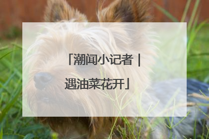 潮闻小记者｜遇油菜花开