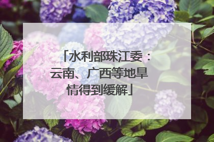 水利部珠江委：云南、广西等地旱情得到缓解