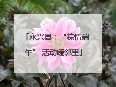 永兴县：“粽情端午” 活动暖邻里