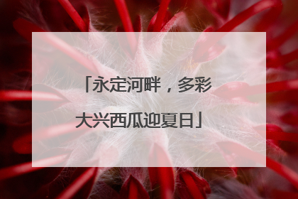 永定河畔，多彩大兴西瓜迎夏日