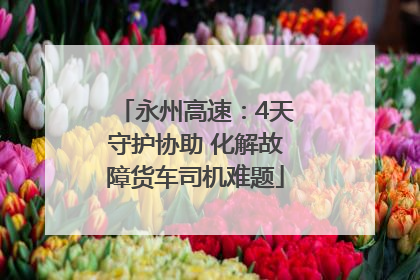 永州高速：4天守护协助 化解故障货车司机难题