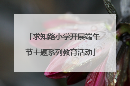 求知路小学开展端午节主题系列教育活动