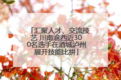 汇聚人才、交流技艺 川南渝西近300名选手在酒城泸州展开技能比拼