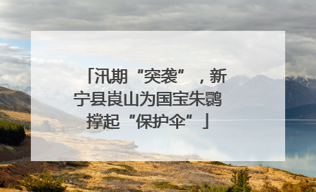 汛期“突袭”，新宁县崀山为国宝朱鹮撑起“保护伞”