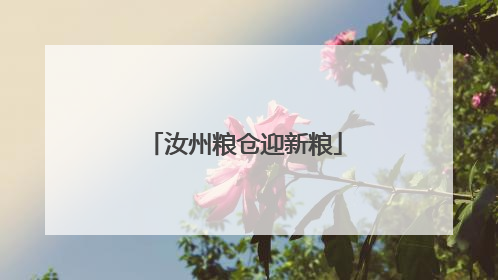 汝州粮仓迎新粮