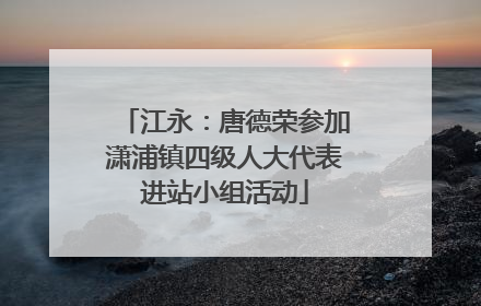 江永：唐德荣参加潇浦镇四级人大代表进站小组活动