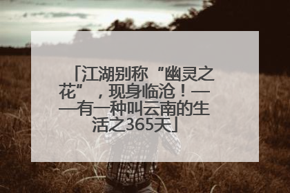 江湖别称“幽灵之花”，现身临沧！——有一种叫云南的生活之365天
