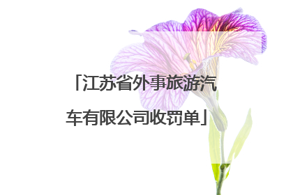 江苏省外事旅游汽车有限公司收罚单