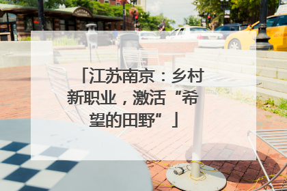 江苏南京：乡村新职业，激活“希望的田野”
