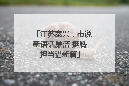 江苏泰兴：市说新语话廉洁 挺膺担当谱新篇