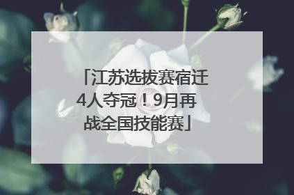 江苏选拔赛宿迁4人夺冠！9月再战全国技能赛