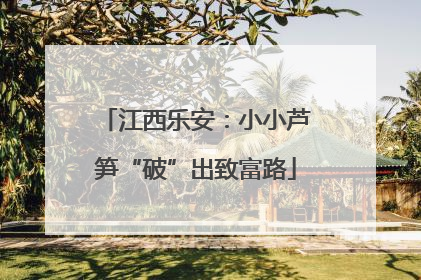 江西乐安：小小芦笋“破”出致富路