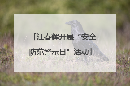 汪春辉开展“安全防范警示日”活动