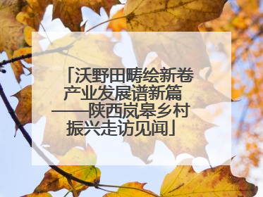 沃野田畴绘新卷 产业发展谱新篇——陕西岚皋乡村振兴走访见闻