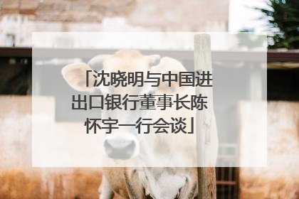沈晓明与中国进出口银行董事长陈怀宇一行会谈